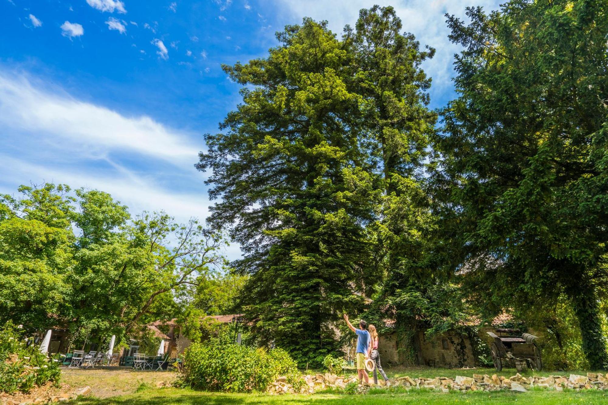 Château de la Tourlandry Chemille-en-Anjou Exterior foto